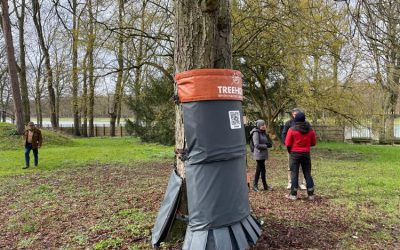 Dutch invention for chestnut bleeding disease holds demo in Versailles palace gardens