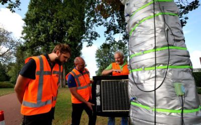 Zelfs in buitenland is interesse: hoe Marc doodzieke bomen redt door ze op te warmen