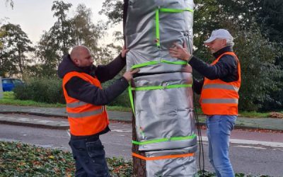 Bomenknuffelaars actief