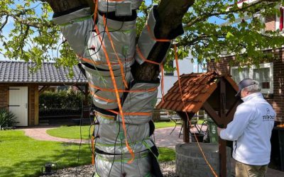 Feu vert pour de nouvelles recherches de l’Université de Bologne