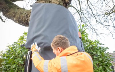 Conservation durable des marrons d'Inde dans la commune de Barendrecht