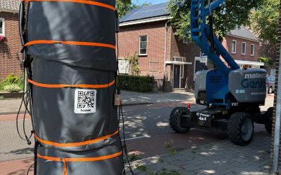 Bomenbehoud Nederland en Idverde Bomendienst behandelen 12 kastanjebomen in Venray